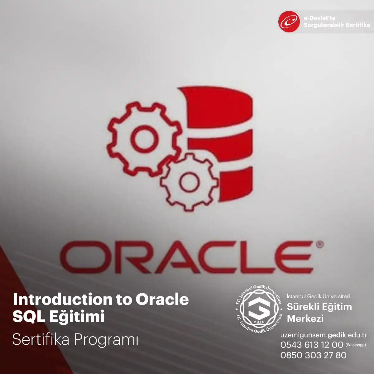 Introduction to Oracle SQL Eğitimi Sertifika Programı